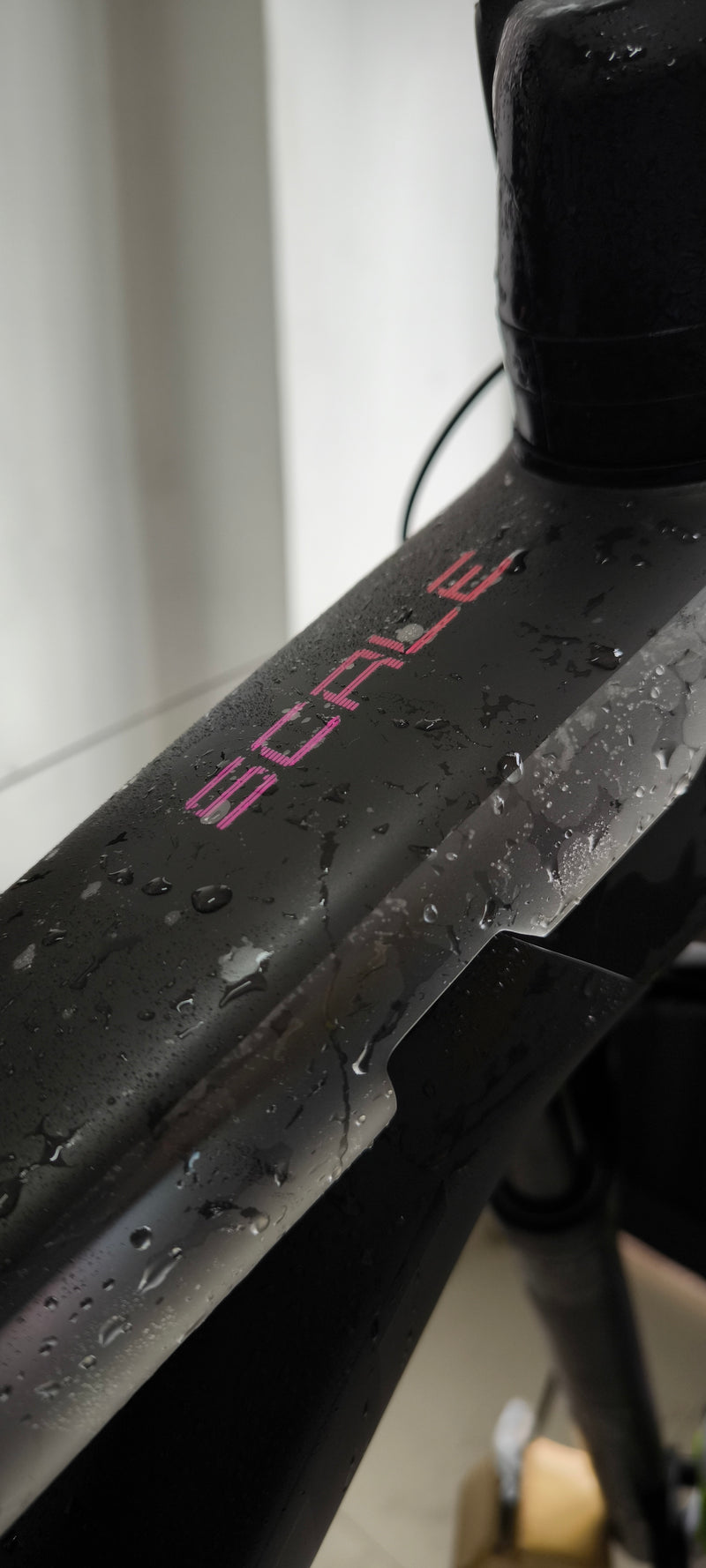 Scott Scale con PPF Mate